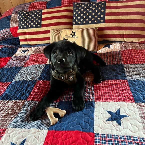 Meet your Part time Posher, full time zoo keeper - Picture 14 of 15